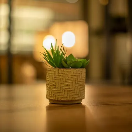 Metis Urbane Living Spaces アパートホテル アテネ
